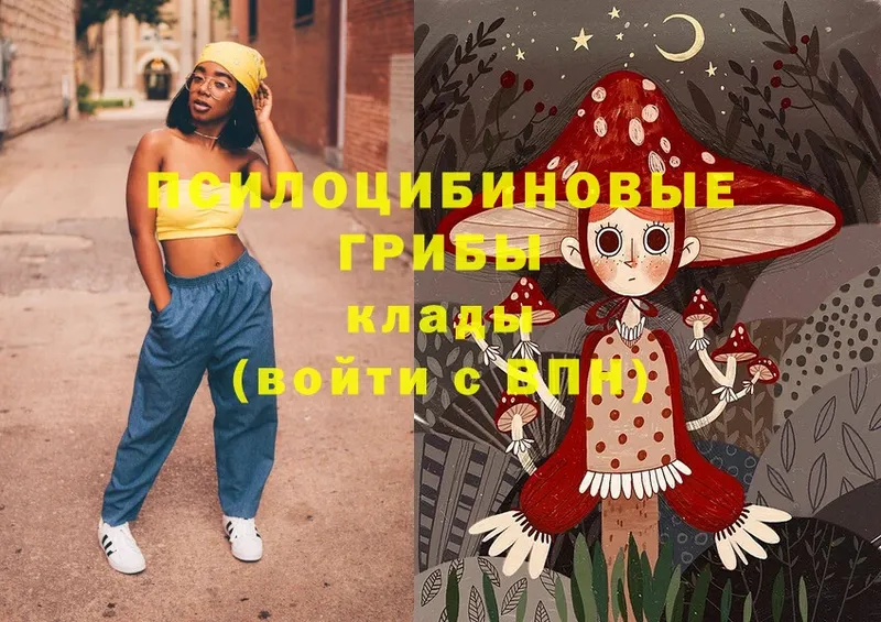 blacksprut ССЫЛКА  Мамадыш  Галлюциногенные грибы Magic Shrooms 